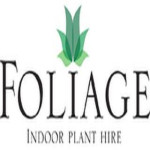Foliage Indoor Plant Hire Profile Picture
