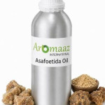 Aromaaz Oils Profile Picture